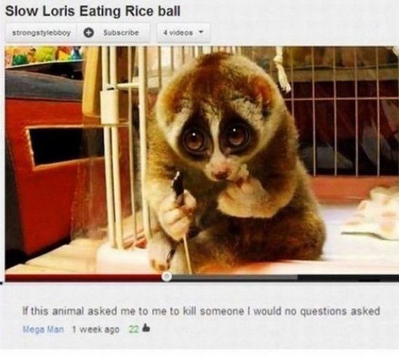 funny-pictures-568
