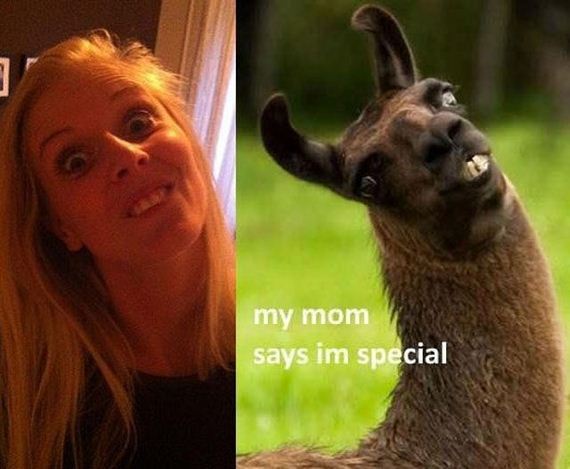 funny-pictures-568