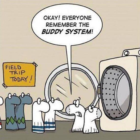 funny-pictures-568