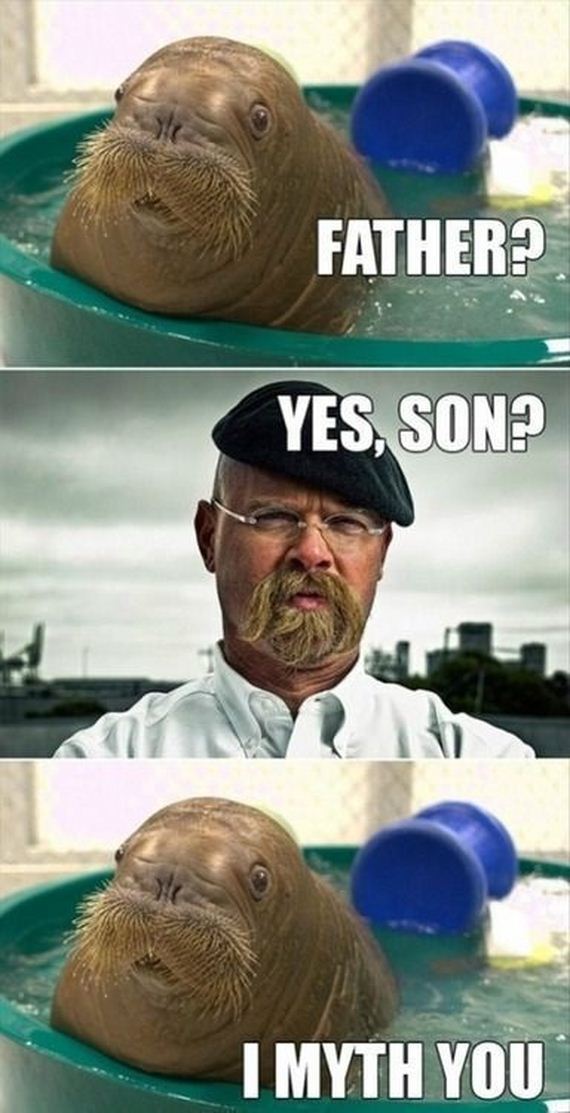 funny-pictures-568