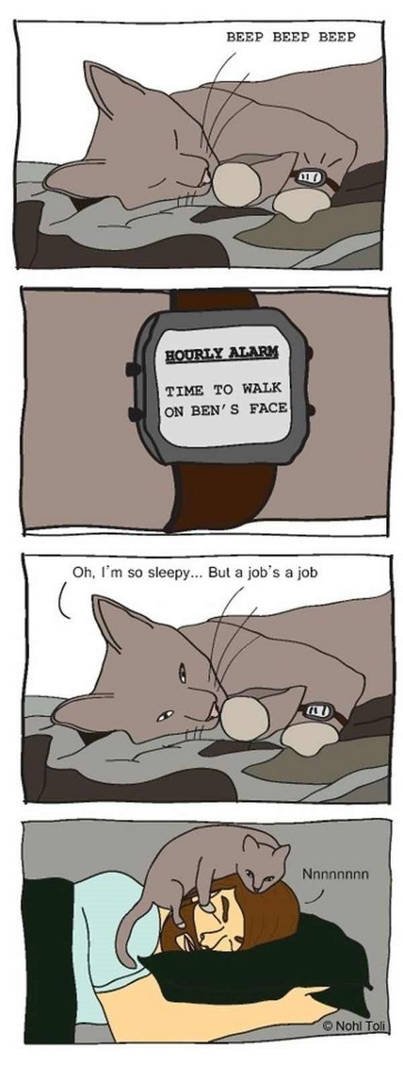 funny-pictures-568
