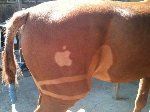 funny-pictures-569