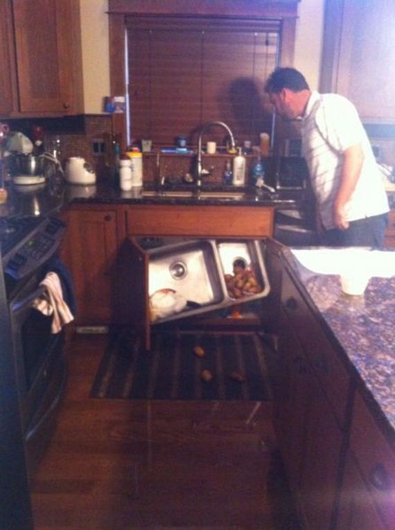 funny-pictures-569