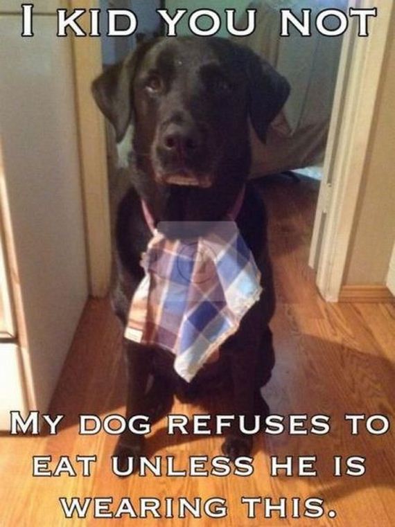 funny-pictures-572