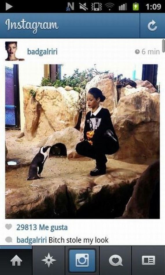 funny-pictures-572