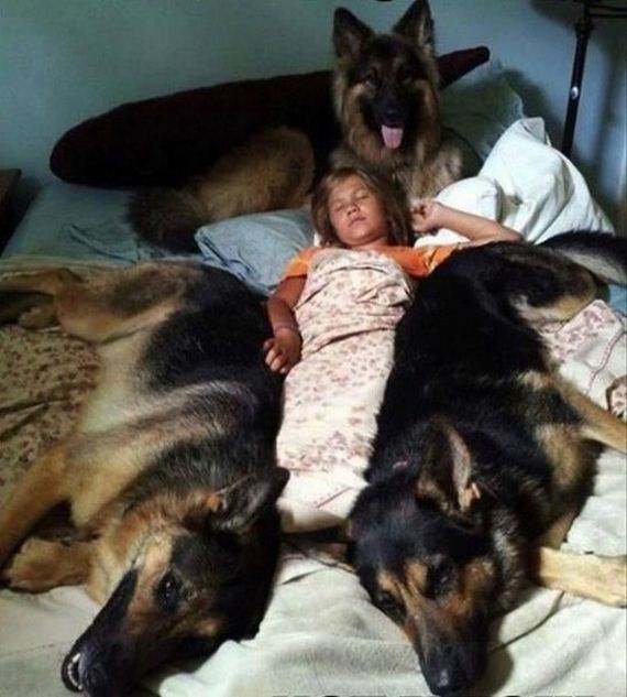 funny-pictures-572