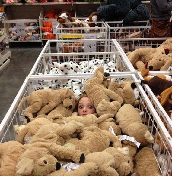 funny-pictures-573