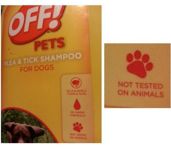 funny-pictures-573