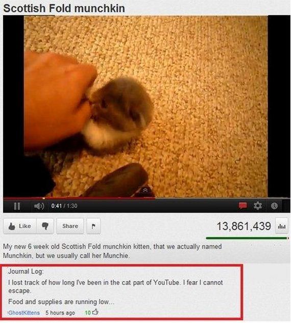 funny-pictures-573