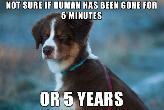 funny-pictures-574