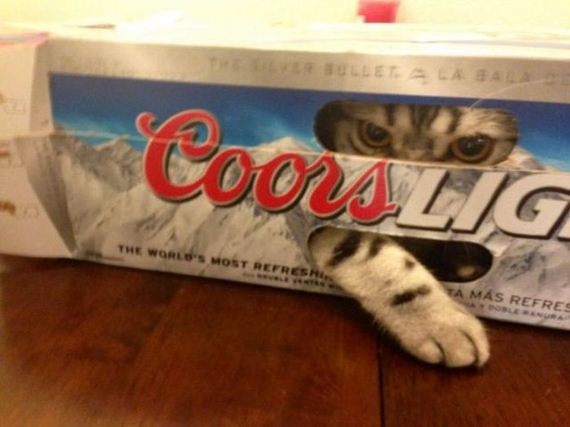 funny-pictures-574