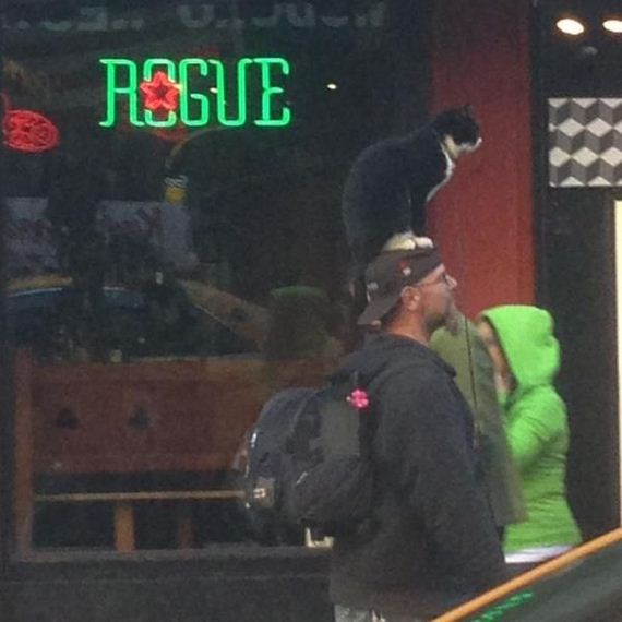 funny-pictures-574