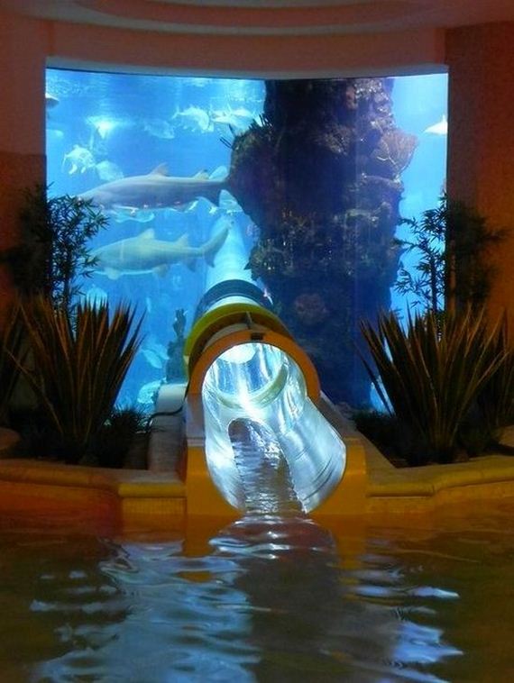 funny-pictures-574