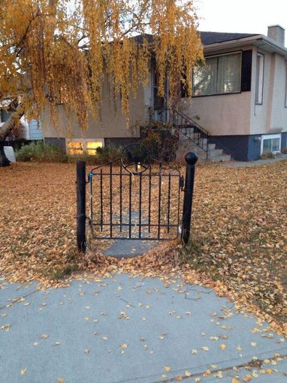 funny-pictures-574