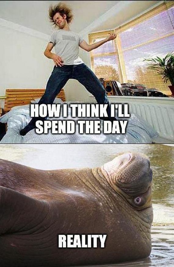funny-pictures-574