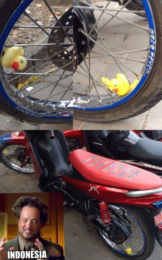 funny-pictures-575