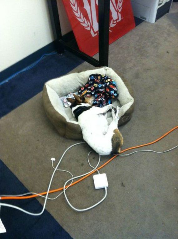 funny-pictures-575