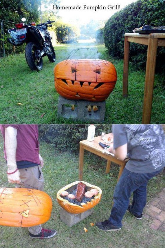funny-pictures-575