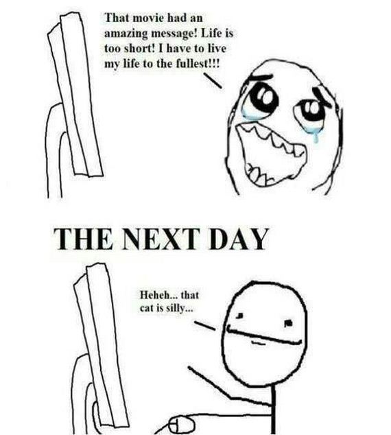 funny-pictures-576