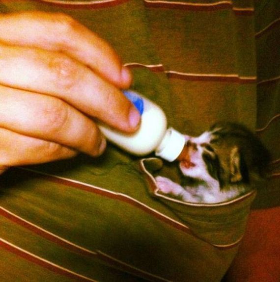 funny-pictures-576
