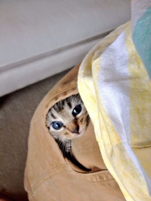 funny-pictures-576