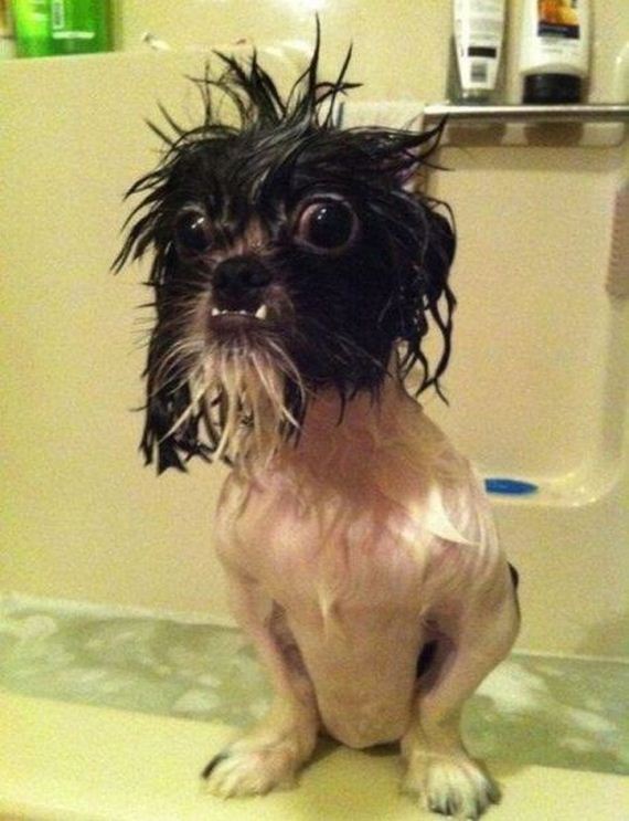 funny-pictures-576