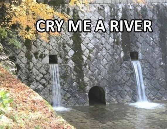 funny-pictures-576
