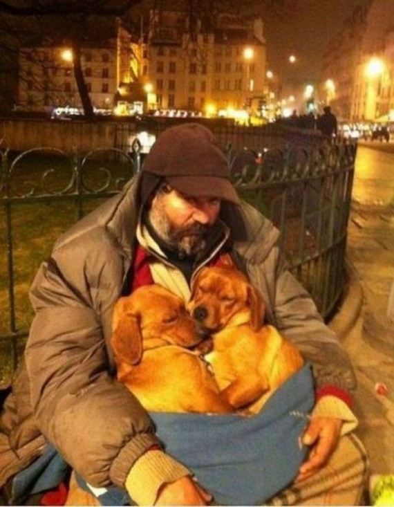 funny-pictures-576