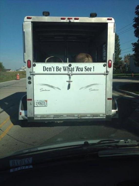 funny-pictures-576