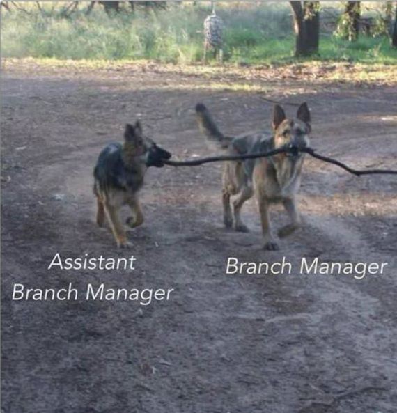 funny-pictures-576