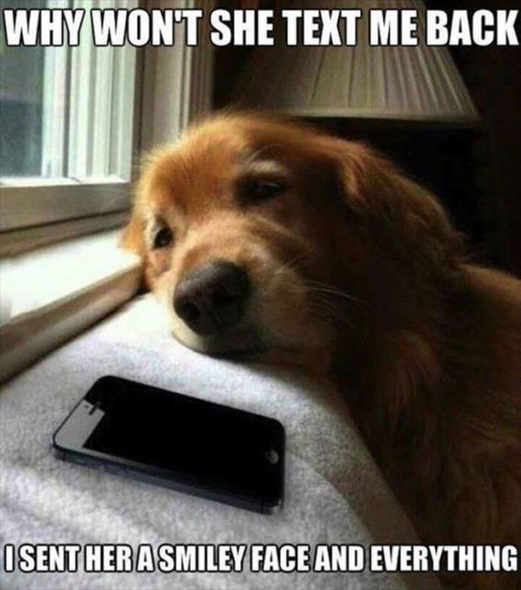 funny-pictures-576