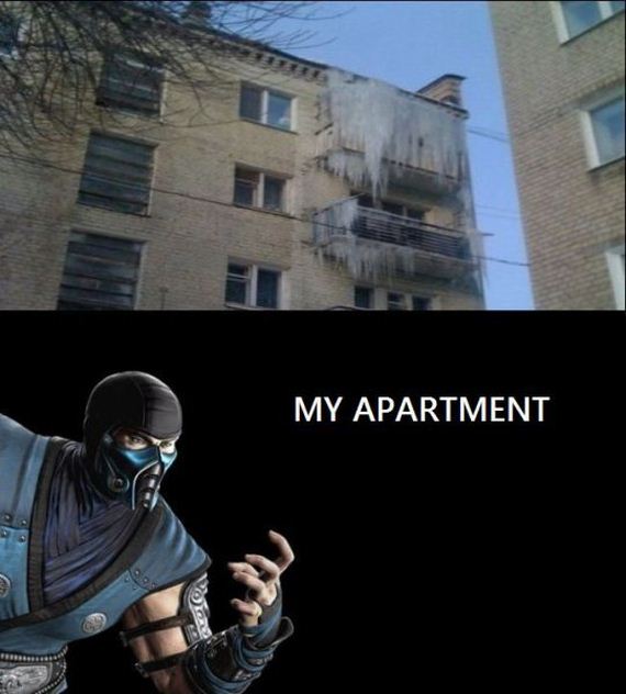 funny-pictures-577