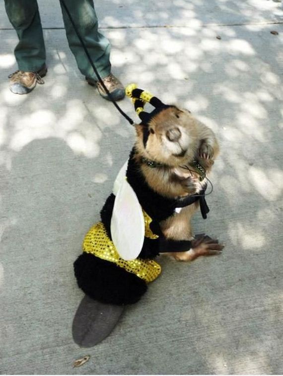 funny-pictures-577