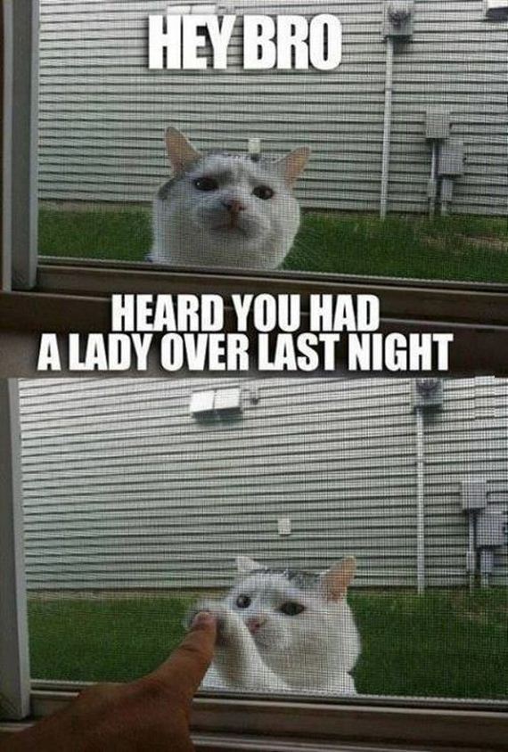 funny-pictures-577