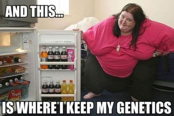 funny-pictures-577
