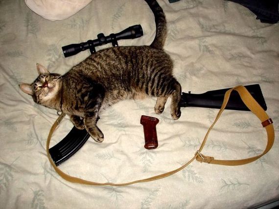 funny-pictures-577