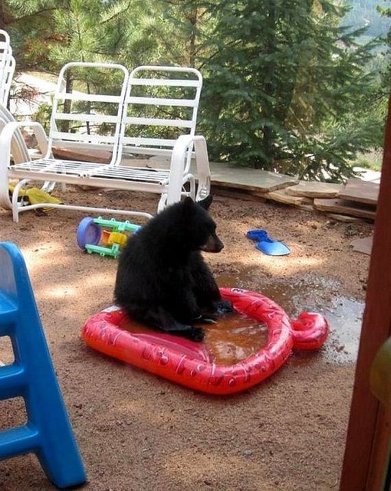 funny-pictures-577