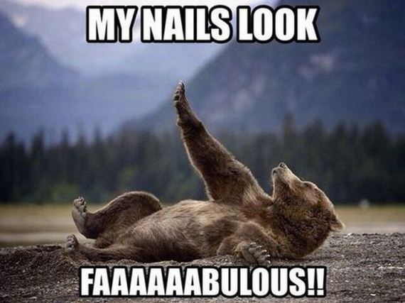 funny-pictures-577