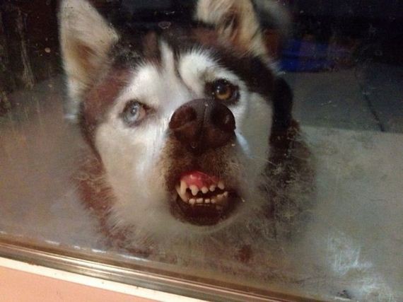 funny-pictures-577