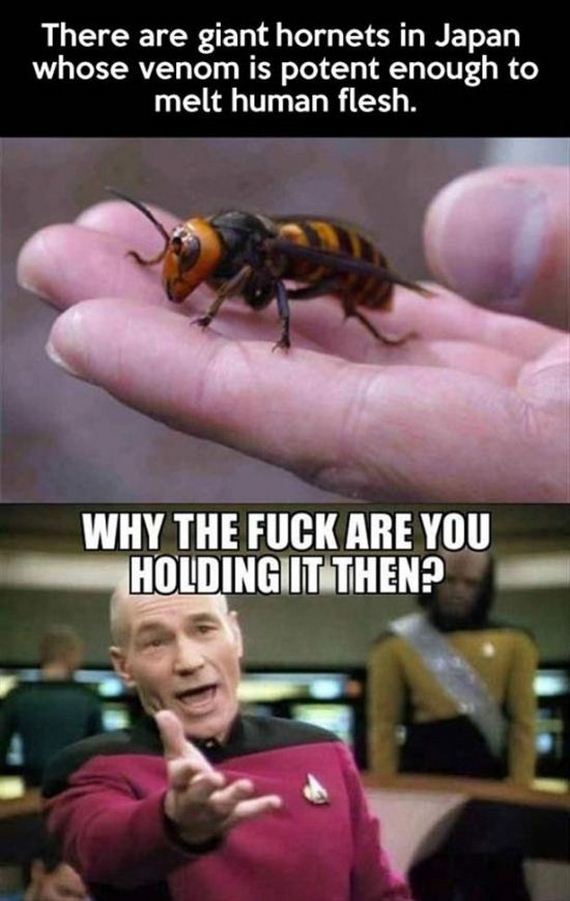 funny-pictures-577