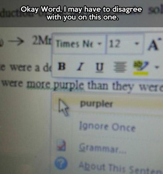 funny-pictures-577