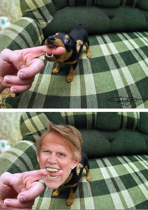 funny-pictures-577
