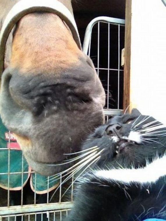 funny-pictures-577