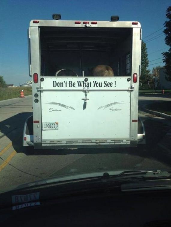 funny-pictures-577