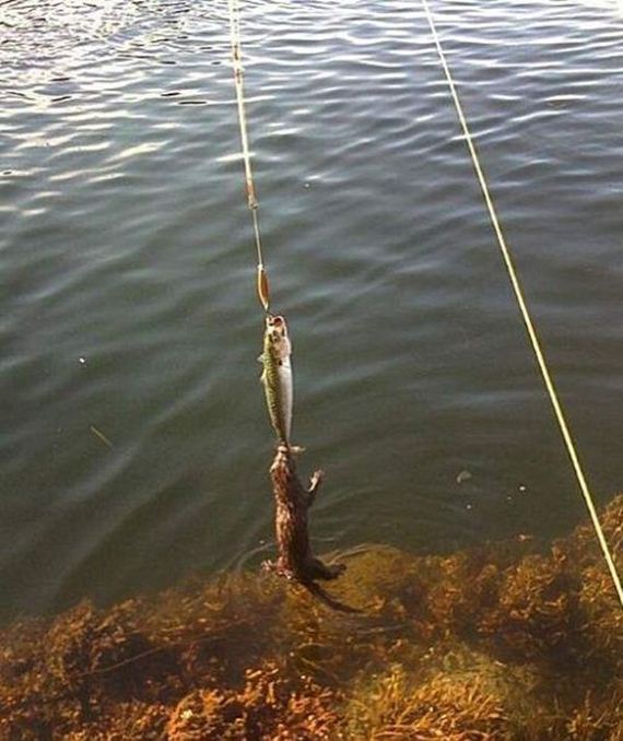 funny-pictures-577