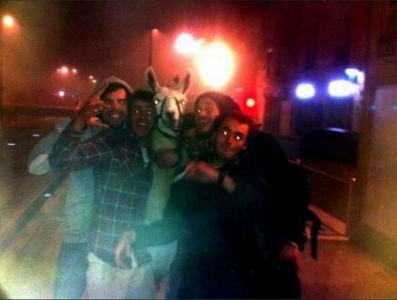 funny-pictures-578