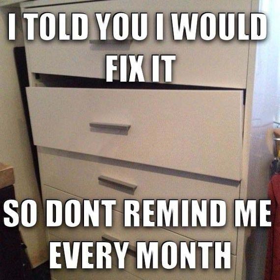 funny-pictures-578