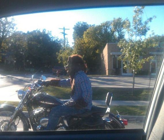 funny-pictures-578