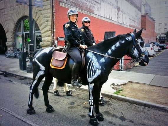 funny-pictures-578