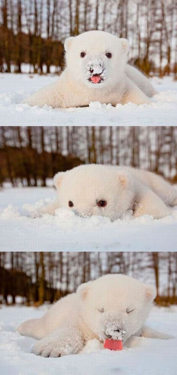 funny-pictures-578